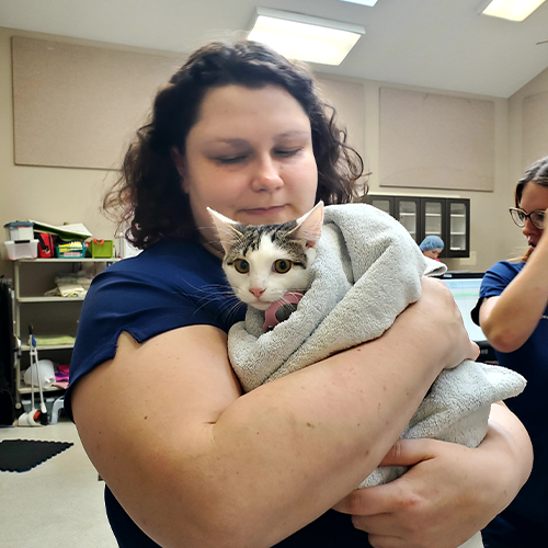 AAHA OlneySandy Spring Veterinary Hospital