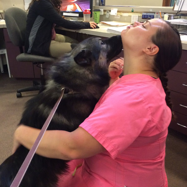 Home OlneySandy Spring Veterinary Hospital