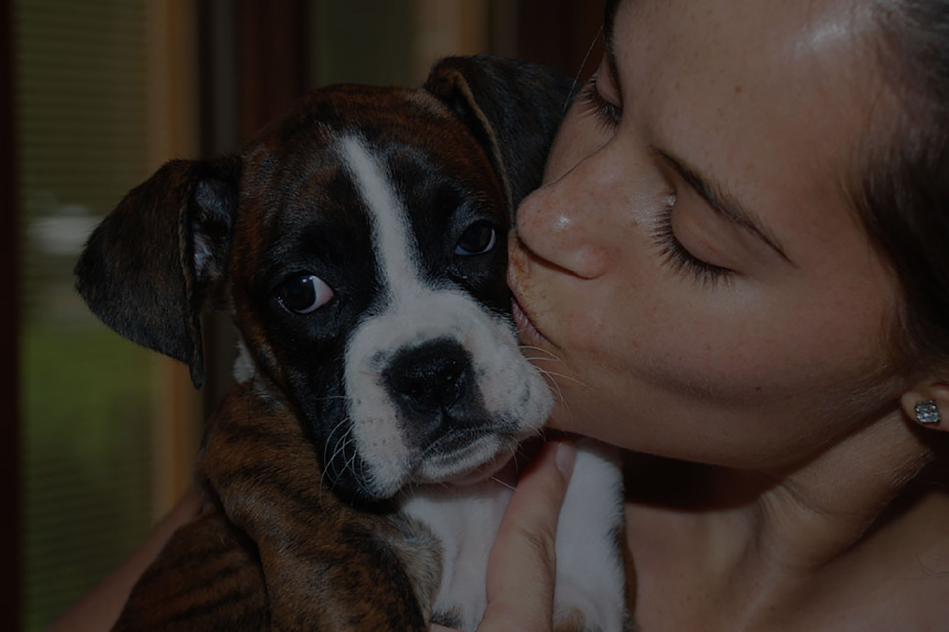 Home OlneySandy Spring Veterinary Hospital